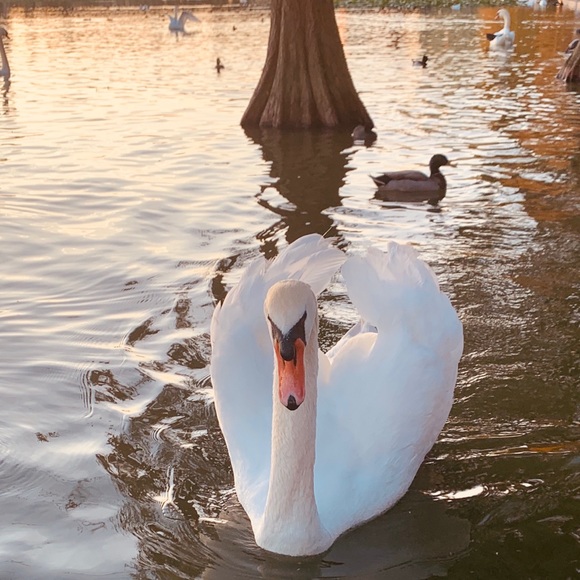 Meet your Posher, Katherine - Picture 2 of 2